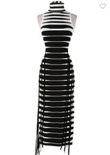 Zebra Dress